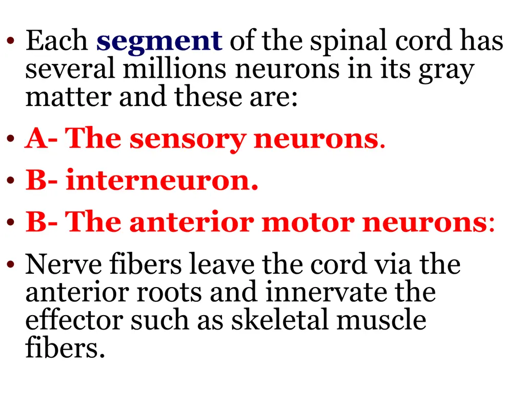 each segment of the spinal cord has several