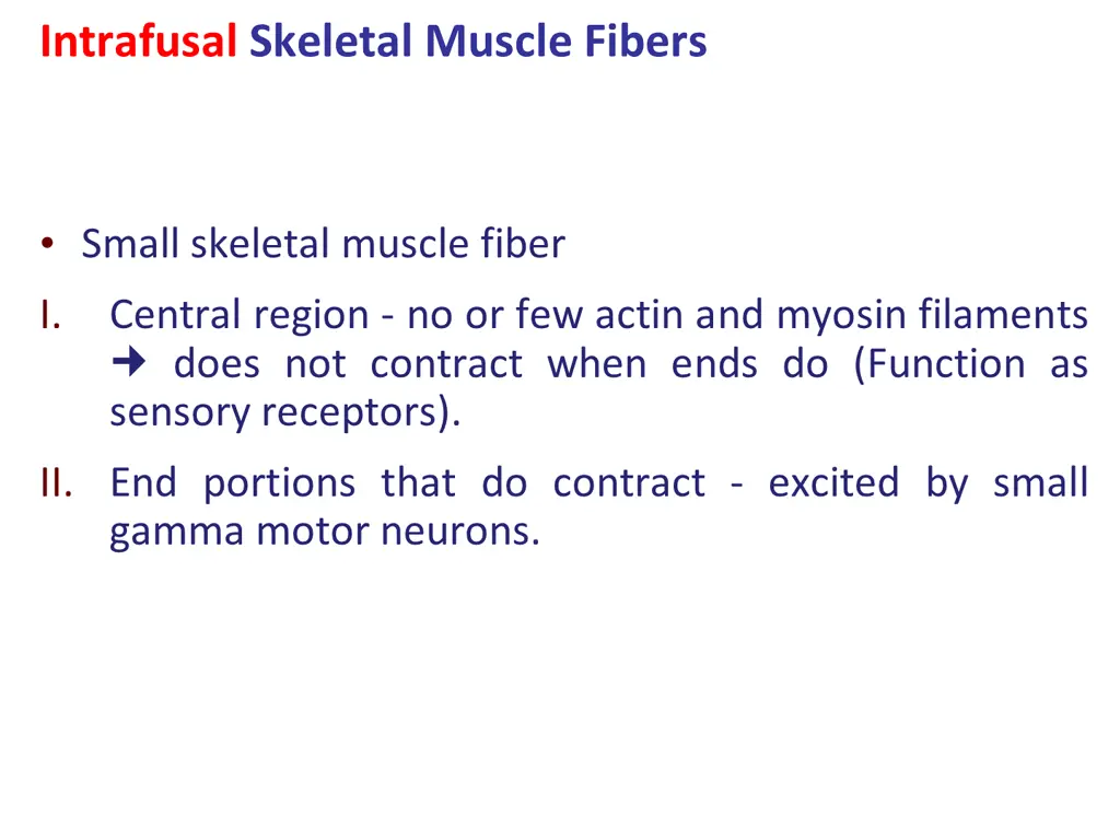 intrafusal skeletal muscle fibers