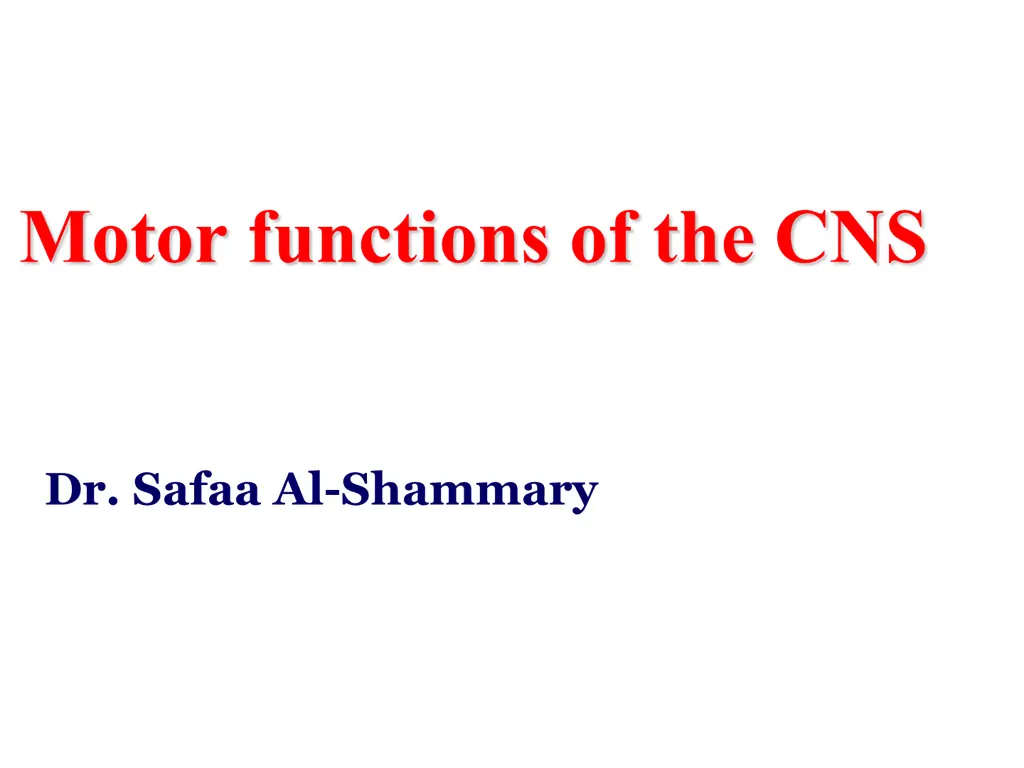 motor functions of the cns