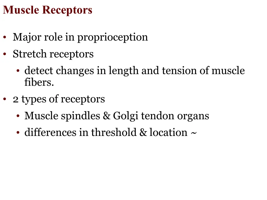 muscle receptors