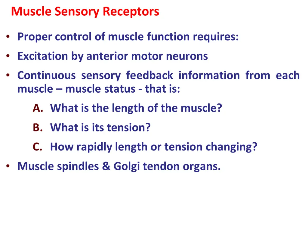 muscle sensory receptors