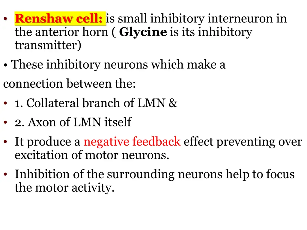 renshaw cell is small inhibitory interneuron