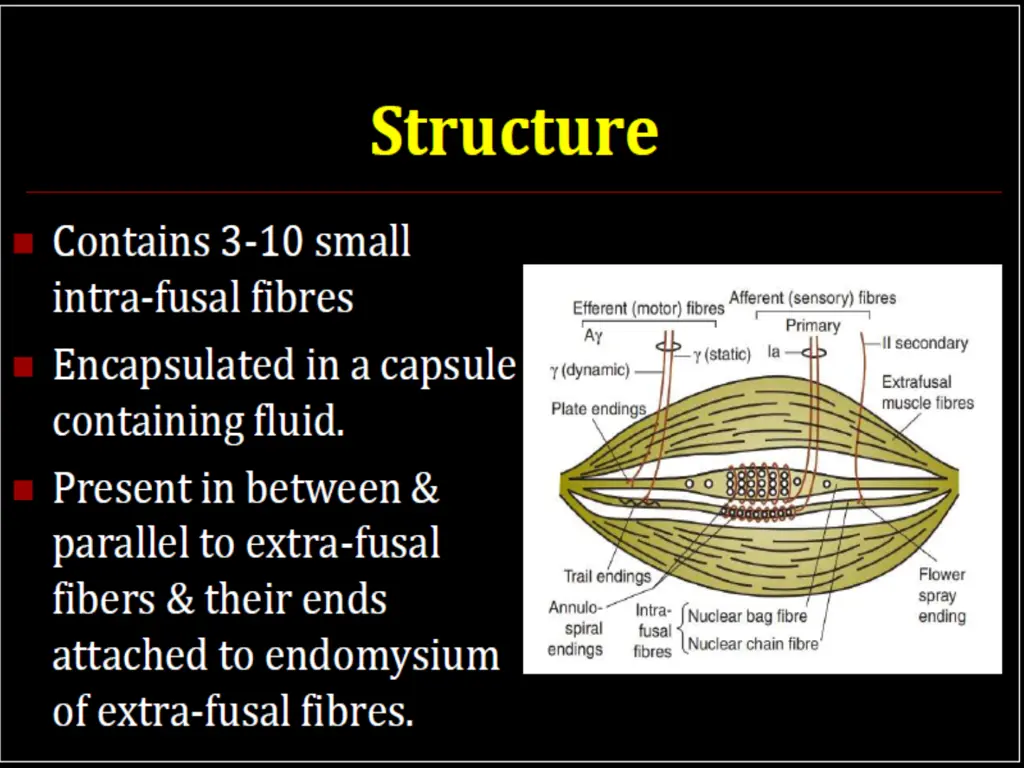 slide36