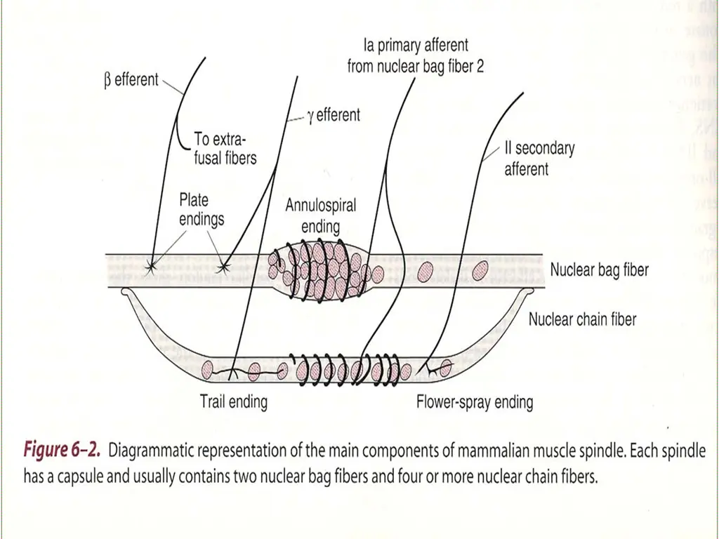 slide37