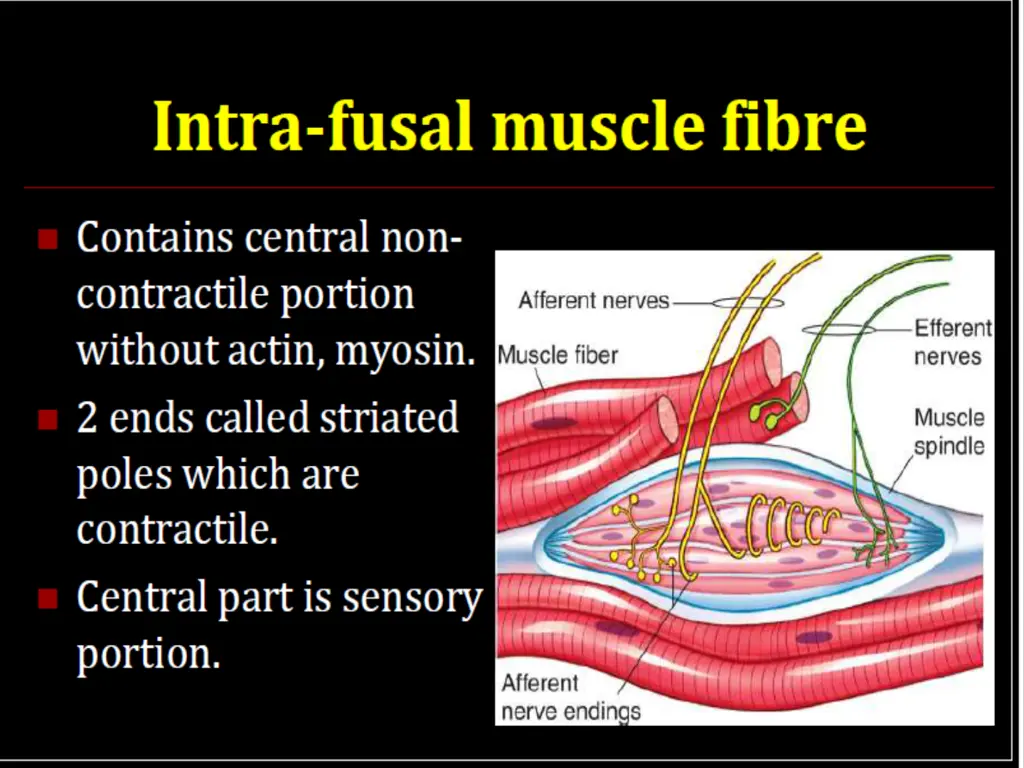 slide39