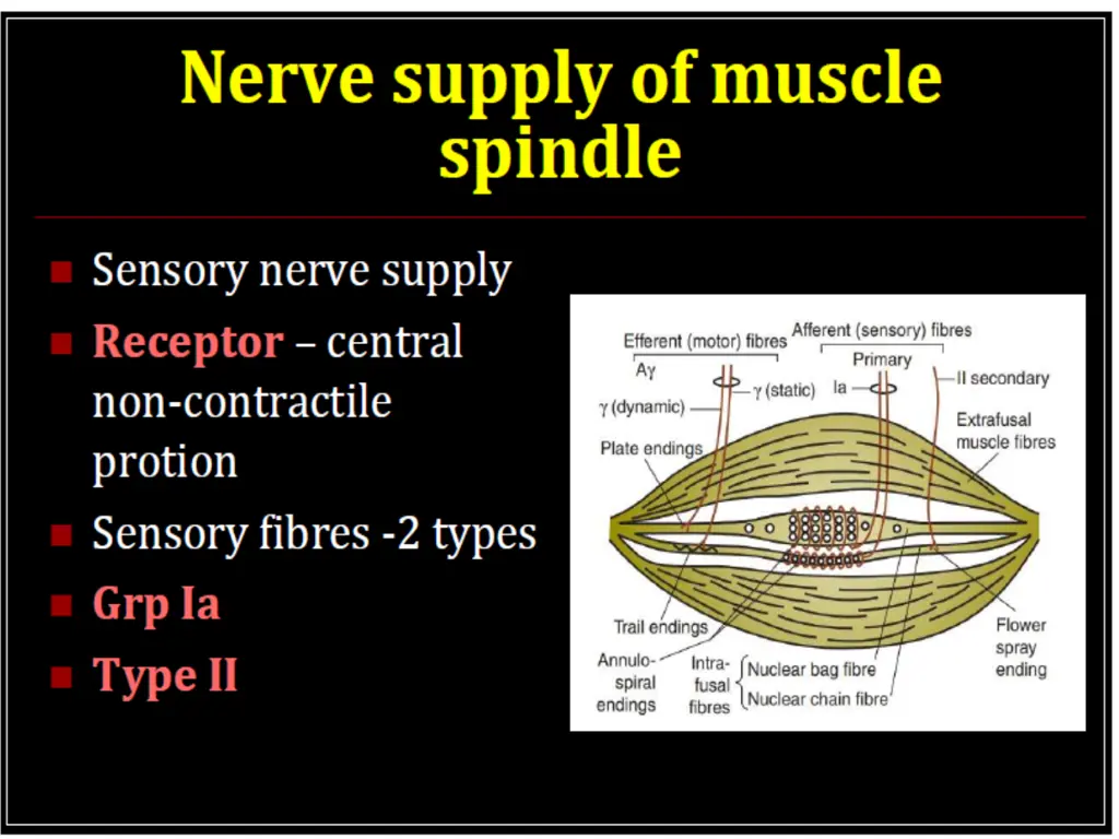 slide41