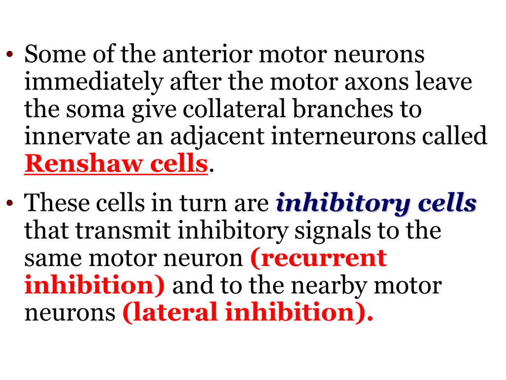 some of the anterior motor neurons immediately