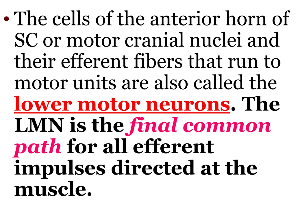 the cells of the anterior horn of sc or motor