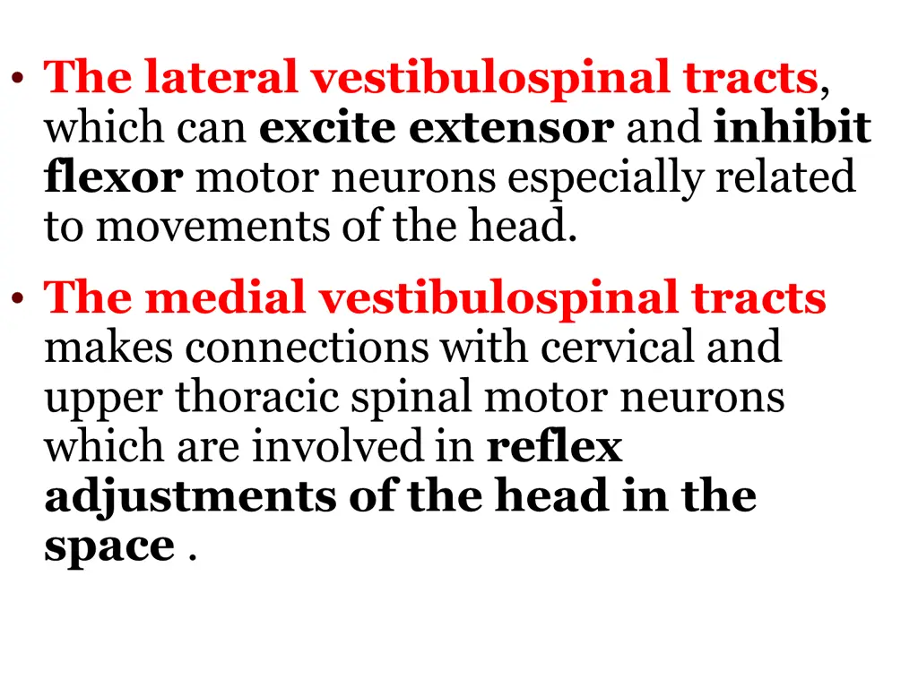 the lateral vestibulospinal tracts which