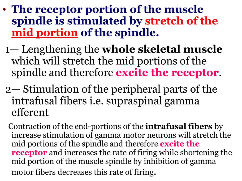 the receptor portion of the muscle spindle