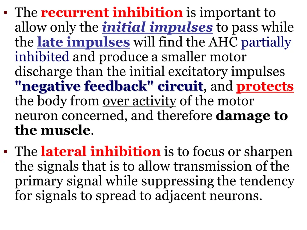 the recurrent inhibition is important to allow