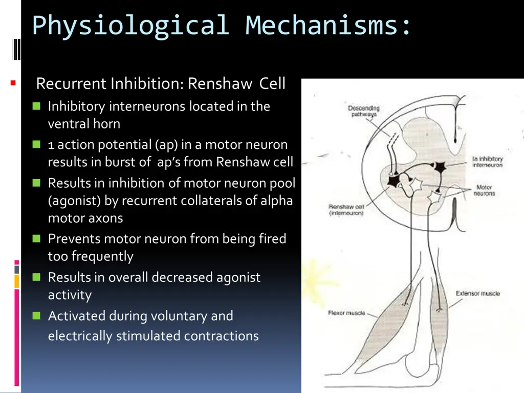 physiological mechanisms
