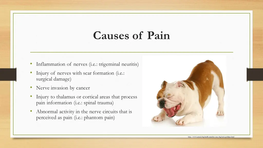 causes of pain