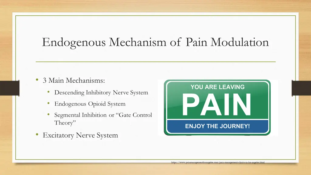 endogenous mechanism of pain modulation