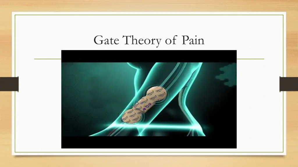 gate theory of pain