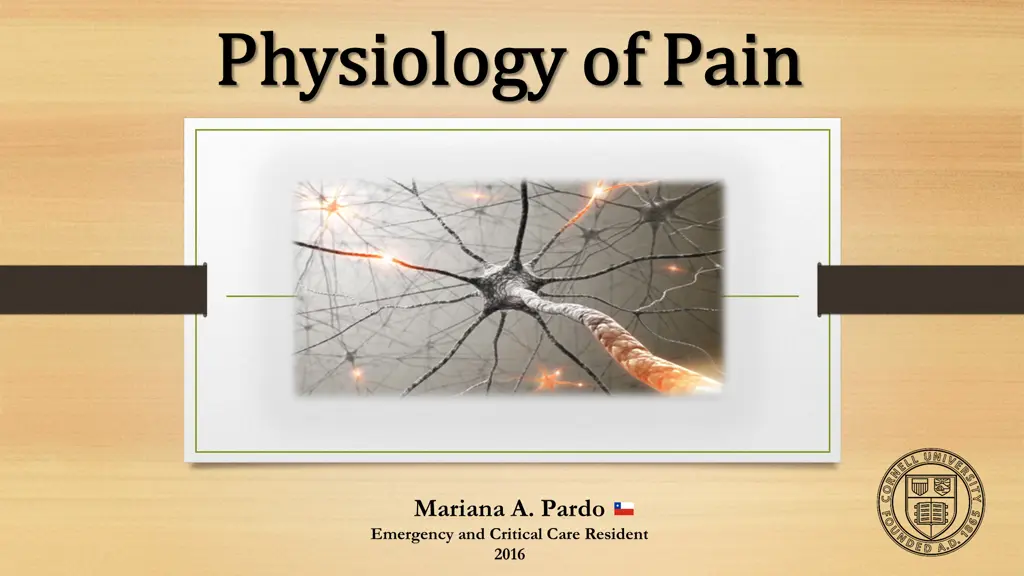 physiology of pain physiology of pain