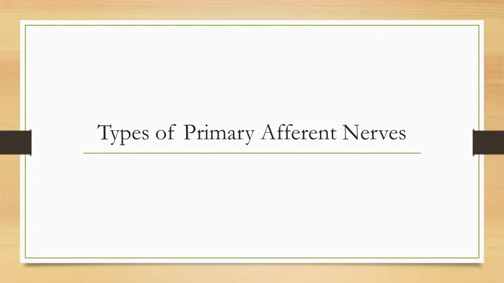 types of primary afferent nerves