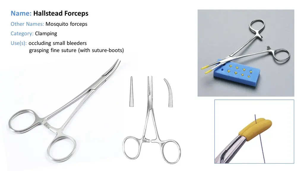 name hallstead forceps