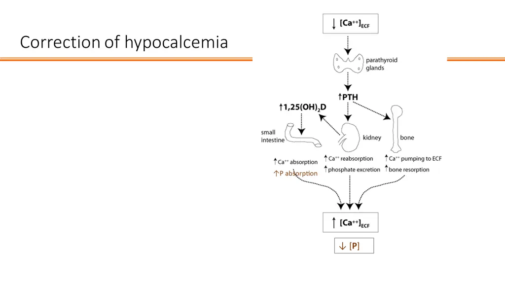 correction of hypocalcemia