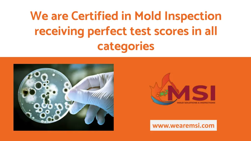 we are certified in mold inspection receiving