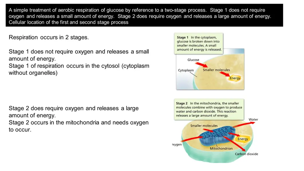 a simple treatment of aerobic respiration