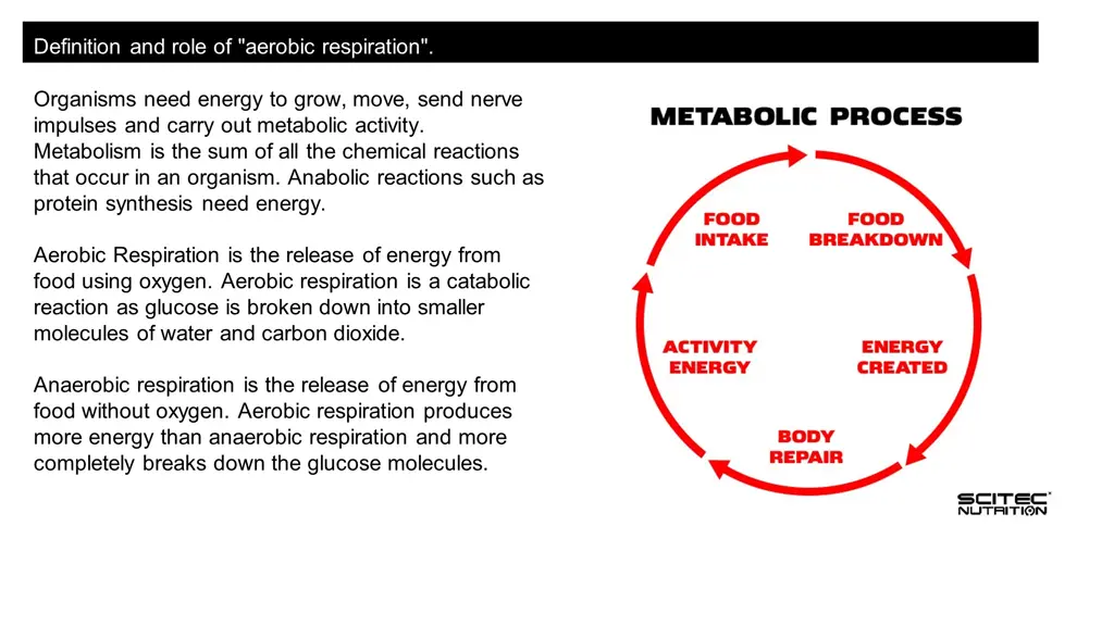 definition and role of aerobic respiration