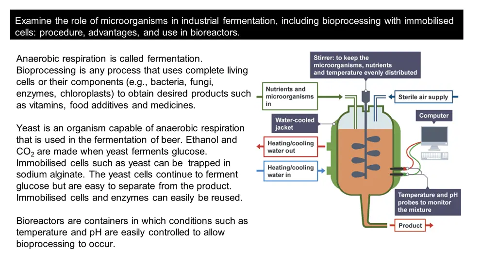 examine the role of microorganisms in industrial