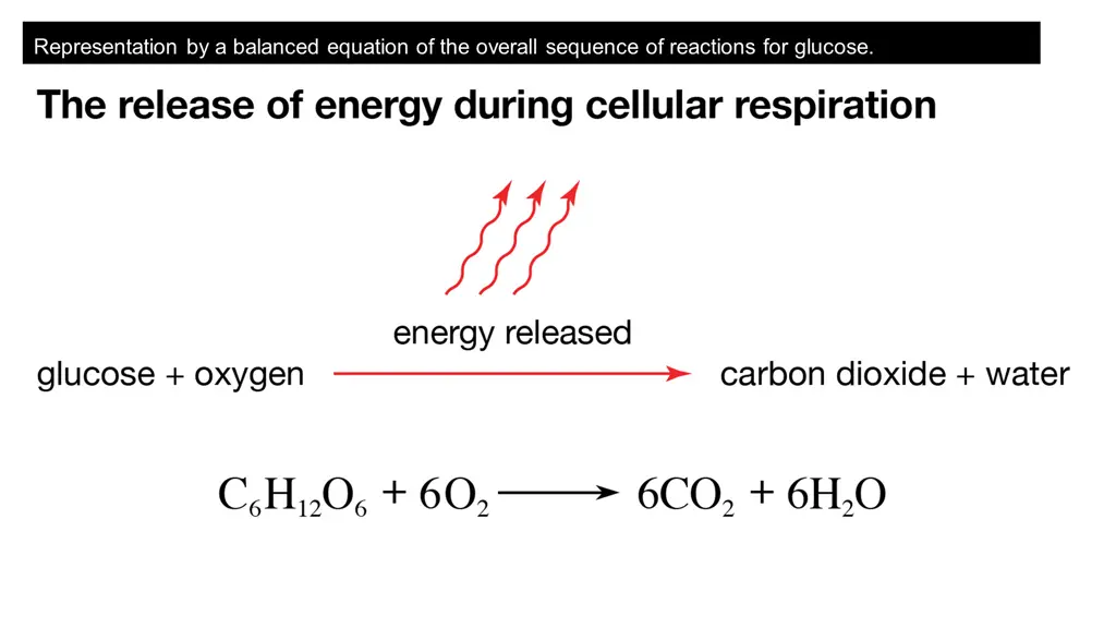 representation by a balanced equation