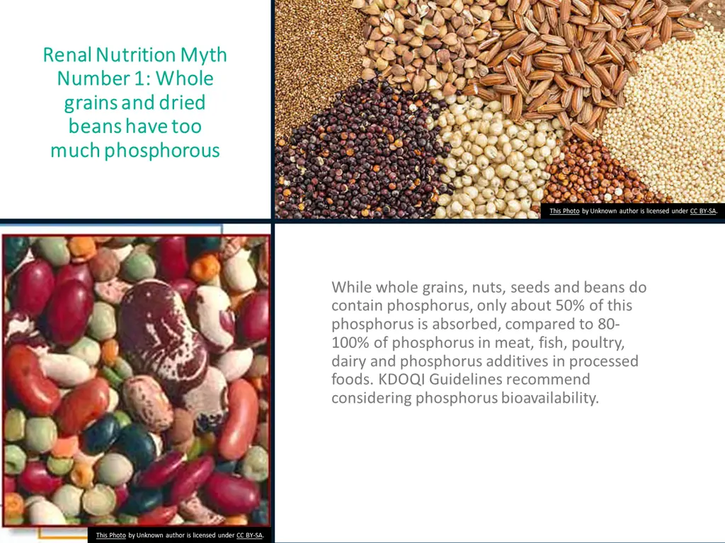 renal nutrition myth renal nutrition myth number