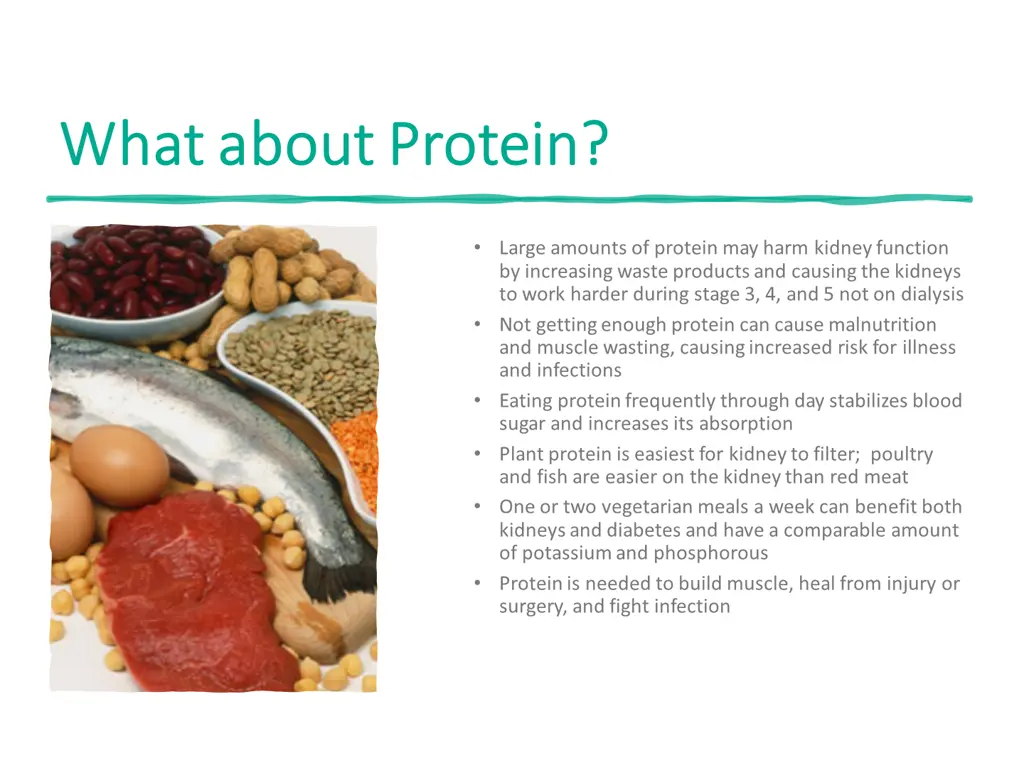 what about protein what about protein