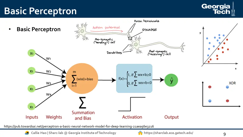 basic perceptron