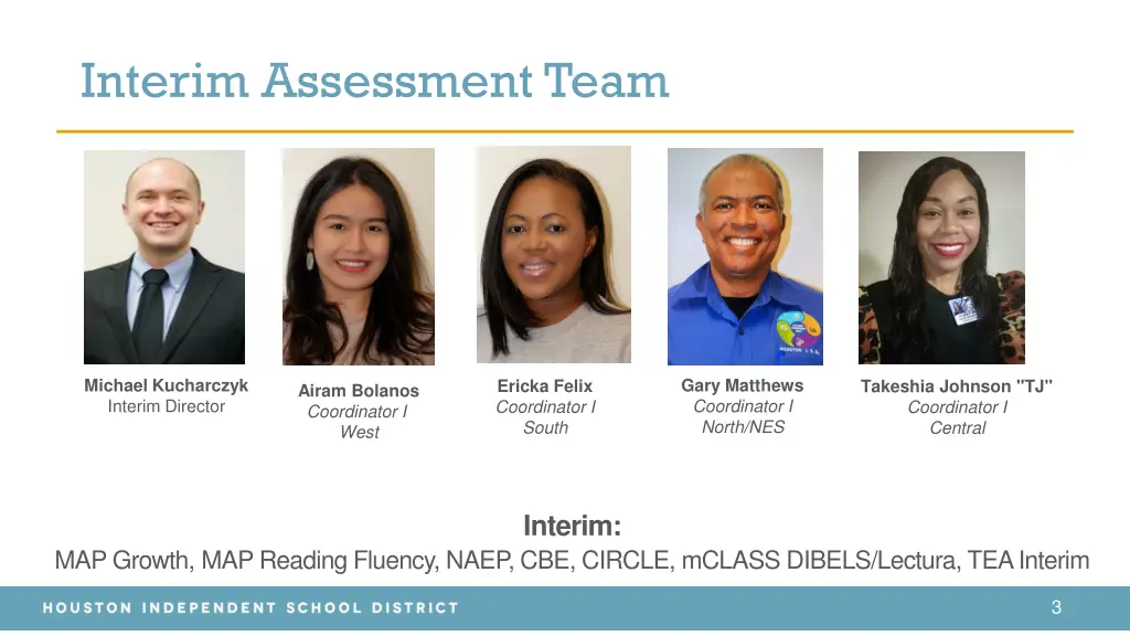 interim assessment team