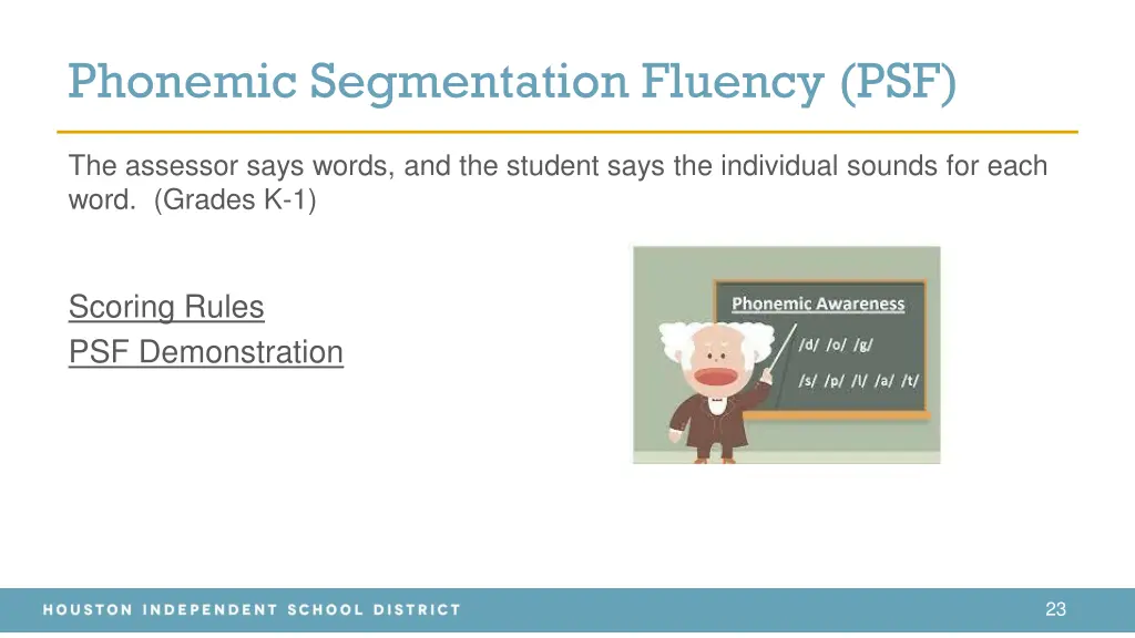 phonemic segmentation fluency psf