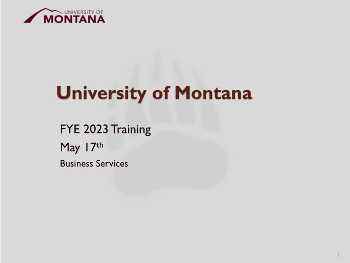 university of montana