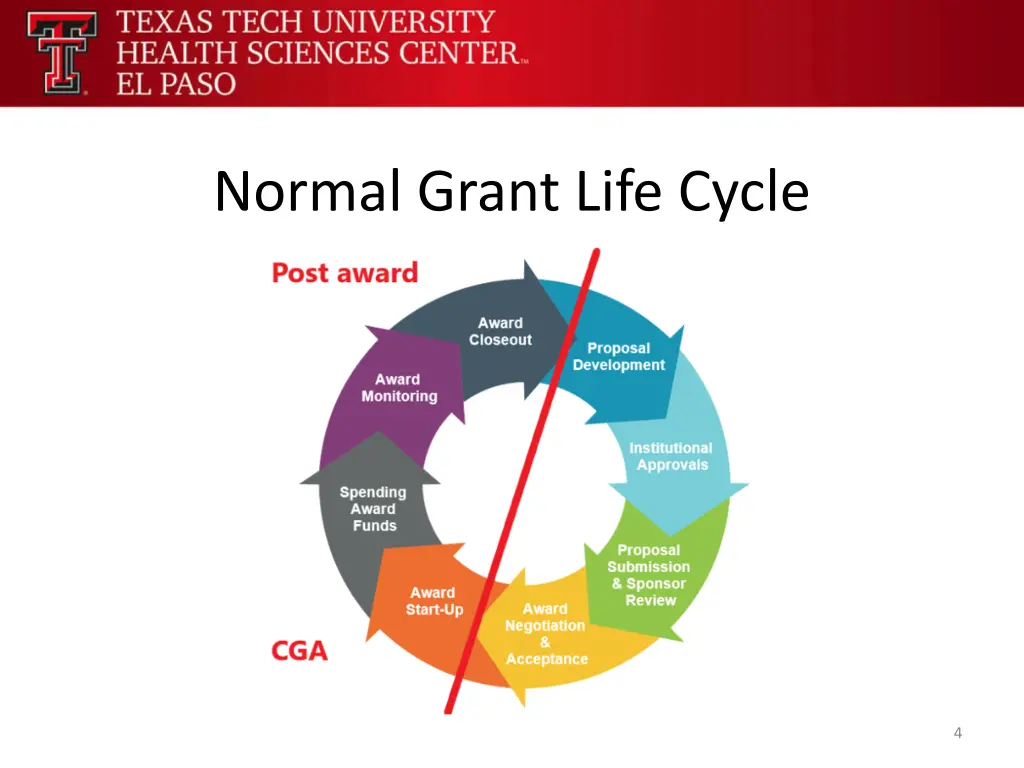 normal grant life cycle