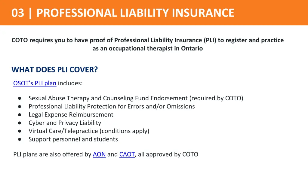 03 professional liability insurance 1