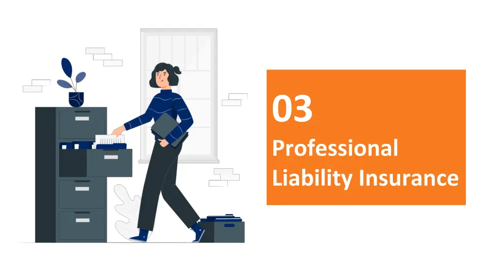 03 professional liability insurance