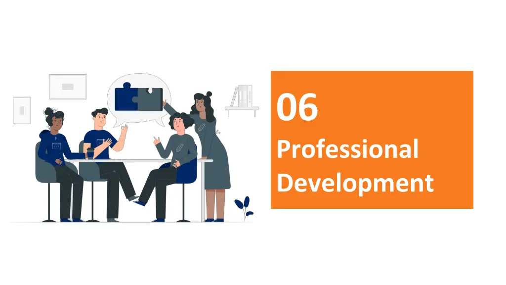 06 professional development
