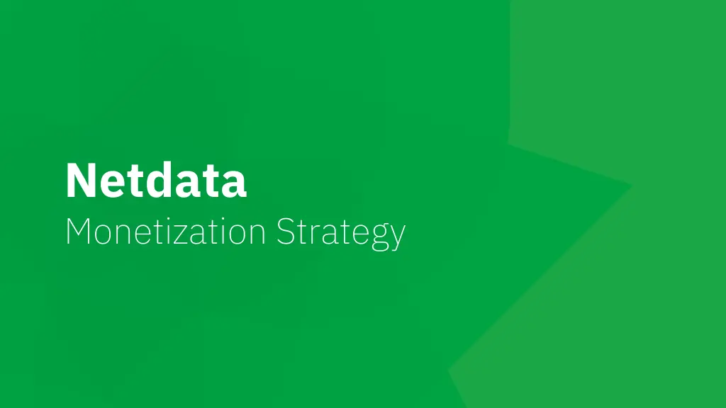 netdata monetization strategy