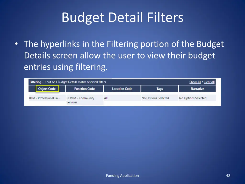 budget detail filters