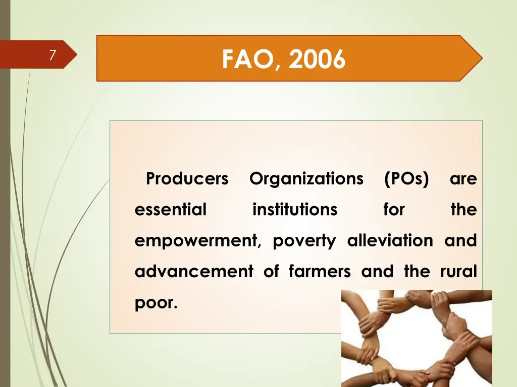 fao 2006