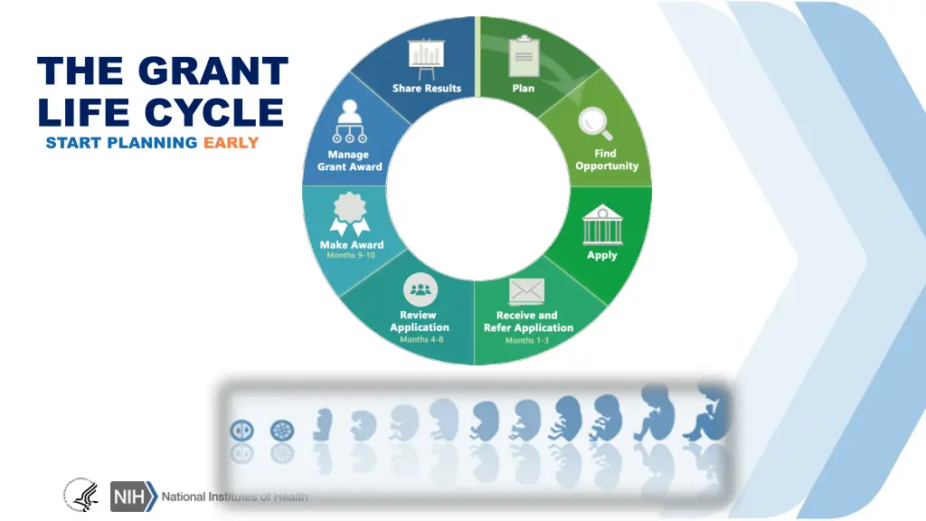 the grant life cycle