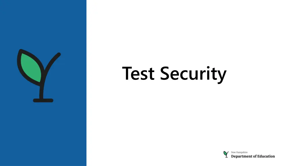 test security