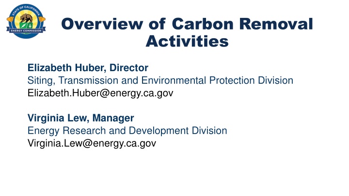 overview of carbon removal activities