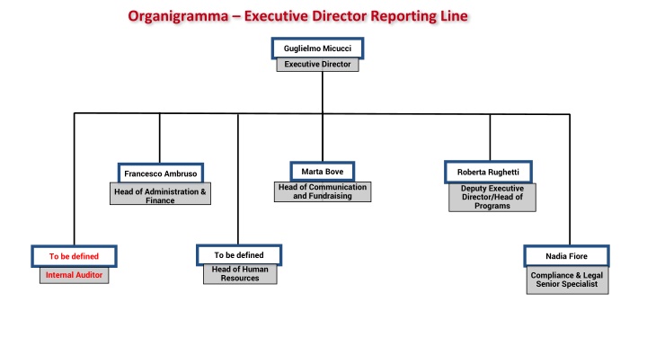 organigramma executive director reporting line