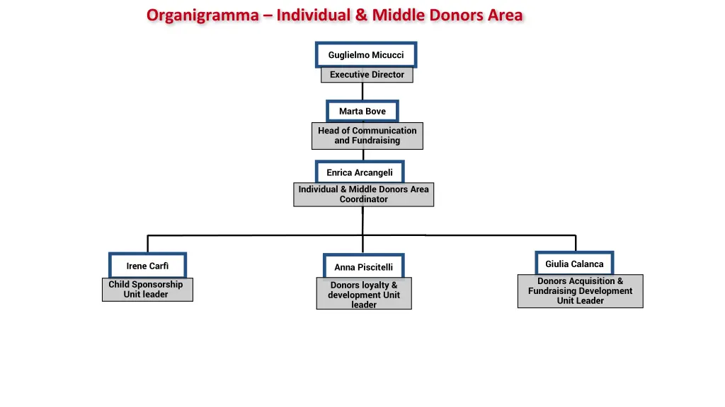 organigramma individual middle donors area