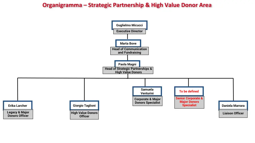 organigramma strategic partnership high value