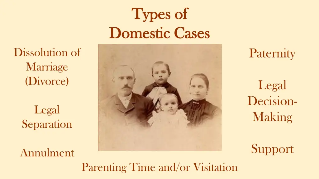 types of types of domestic cases domestic cases