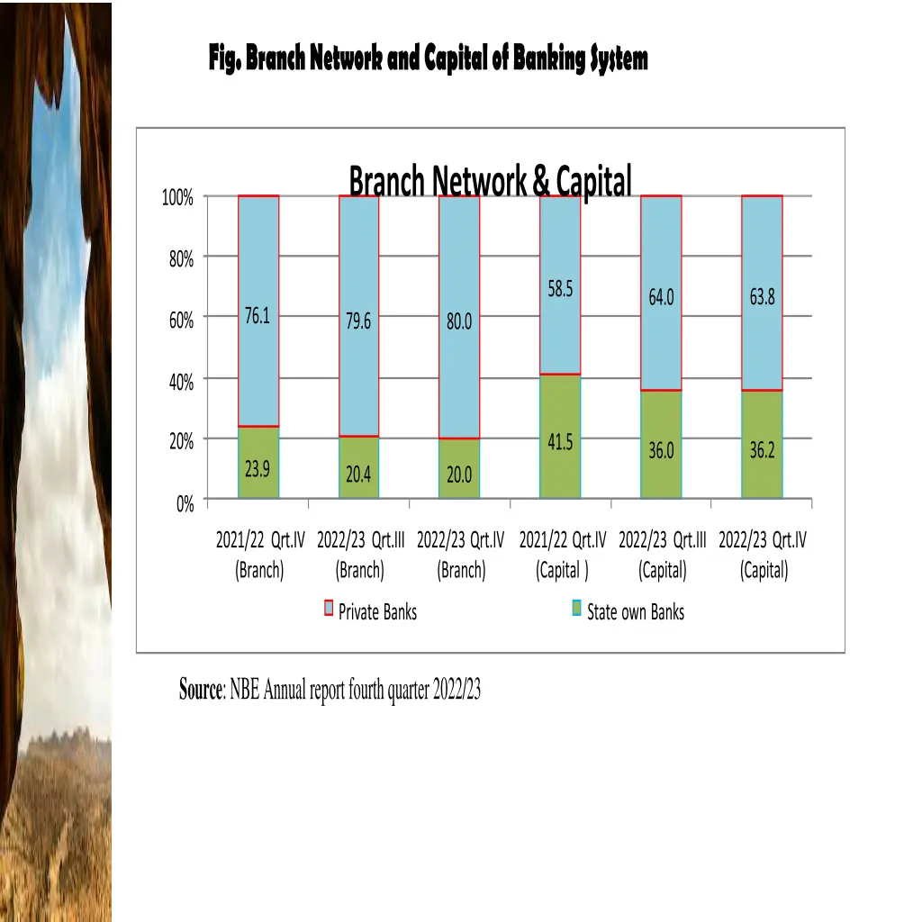 fig branch network and capital of banking system