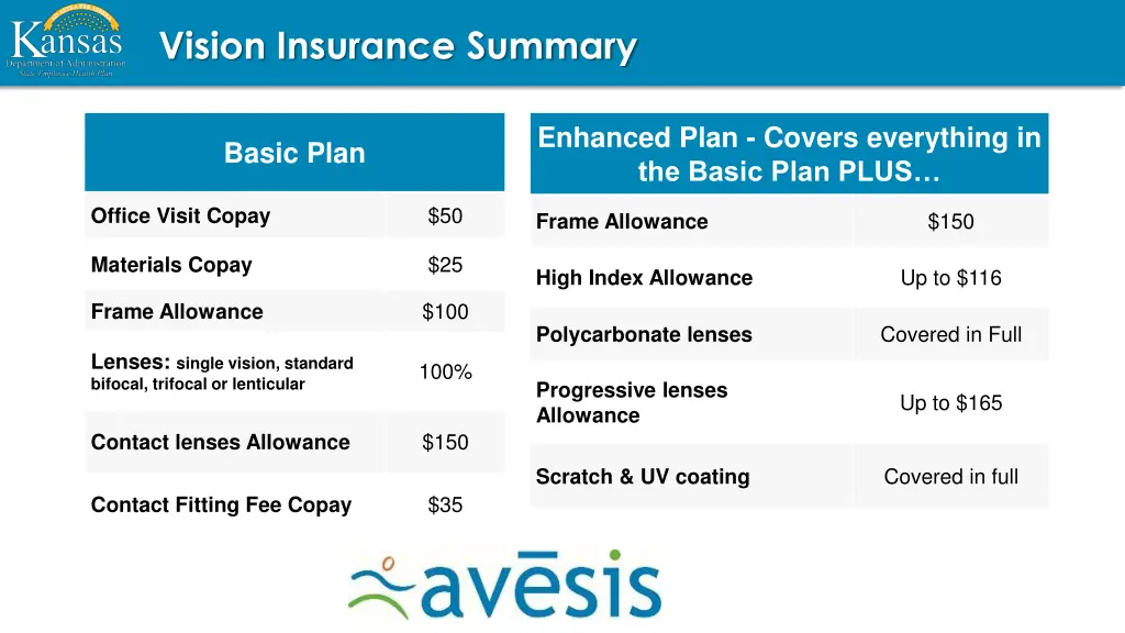vision insurance summary